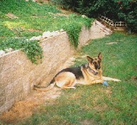 pic11.jpg