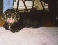pic09.jpg