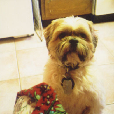 pic08.jpg, 32496 bytes, 12/18/2001