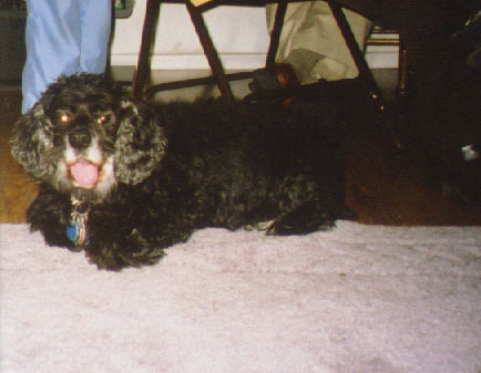 pic09.jpg, 34182 bytes, 12/18/2001