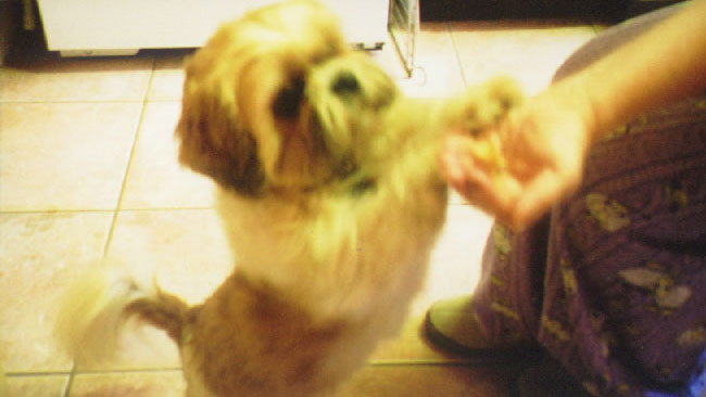 pic10.jpg, 42335 bytes, 12/18/2001